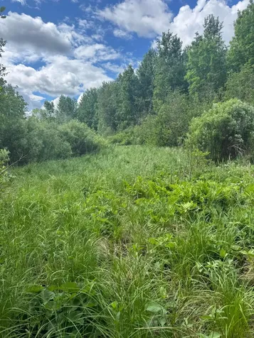 TBD242.25 Lavell Road Meadowlands MN 55765