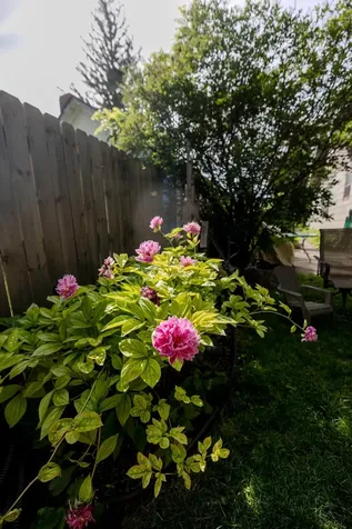 308 W 9th Street Morris MN 56267