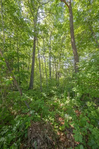 Tbd. Kestrel Trail NW Hackensack MN 56452