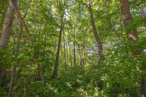 Tbd. Kestrel Trail NW Hackensack MN 56452