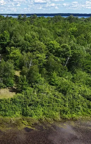 Tbd. Kestrel Trail NW Hackensack MN 56452