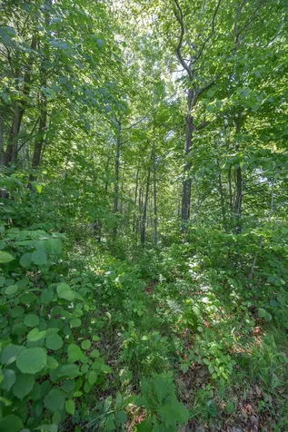 Tbd. Kestrel Trail NW Hackensack MN 56452