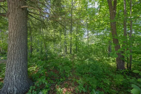 Tbd. Kestrel Trail NW Hackensack MN 56452