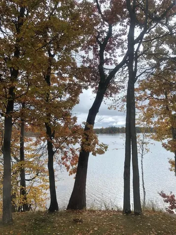 4826 Lazy Pine Road Moose Lake MN 55767