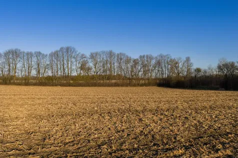 Tbd Lot 1 Park Trail Center City MN 55012
