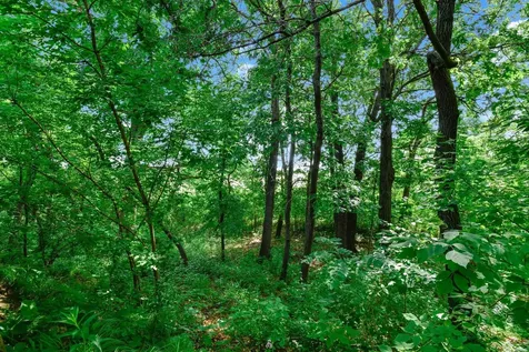 562 Deer Ridge Lane S Maplewood MN 55119