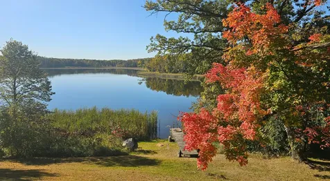 31265 Eagle Lake Road Frazee MN 56544