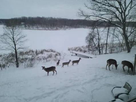 31265 Eagle Lake Road Frazee MN 56544