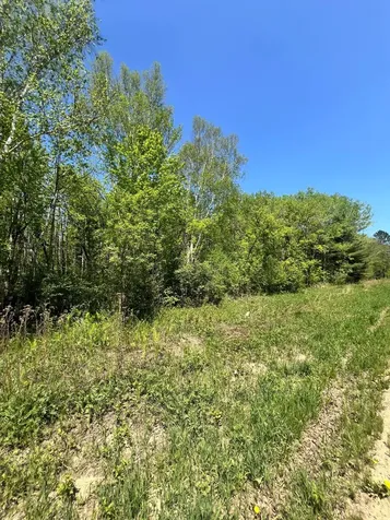 Xxx Co Road 67 Grand Rapids MN 55744