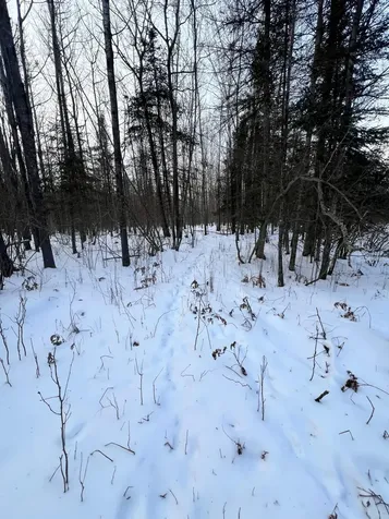 Tbd County Road 67 Grand Rapids MN 55744
