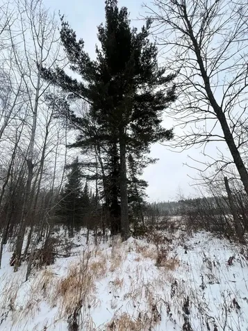 Tbd County Road 67 Grand Rapids MN 55744