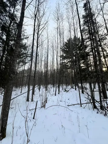 Tbd County Road 67 Grand Rapids MN 55744