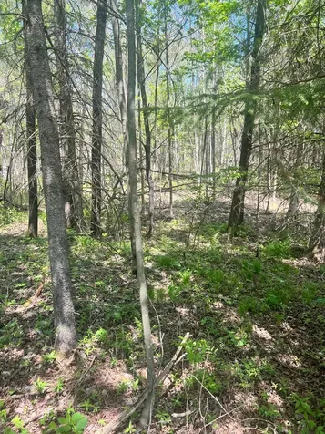 Tbd County Road 67 Grand Rapids MN 55744