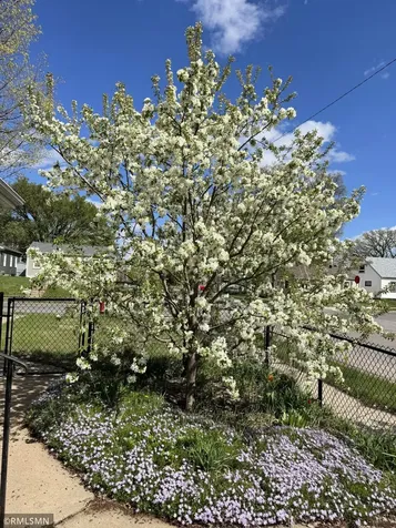 5101 Sheridan Avenue N Minneapolis MN 55430