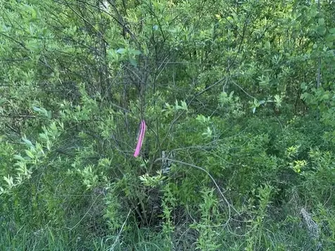 Tbd Lakeshore Boulevard Wahkon MN 56386