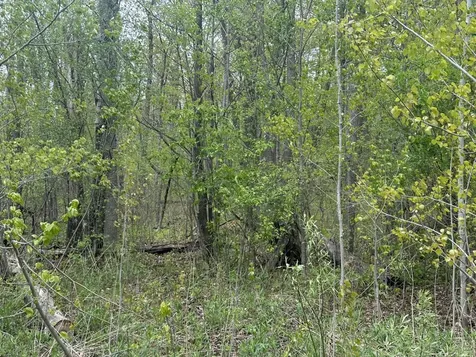Tbd Lakeshore Boulevard Wahkon MN 56386