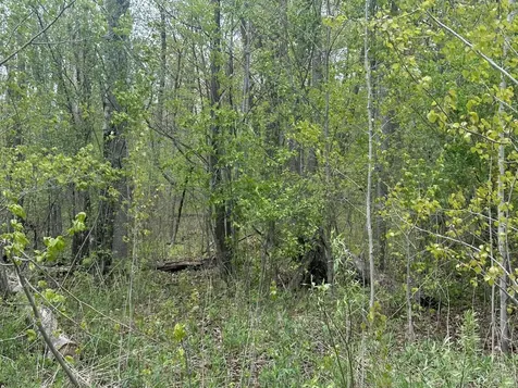 Tbd Lakeshore Boulevard Wahkon MN 56386