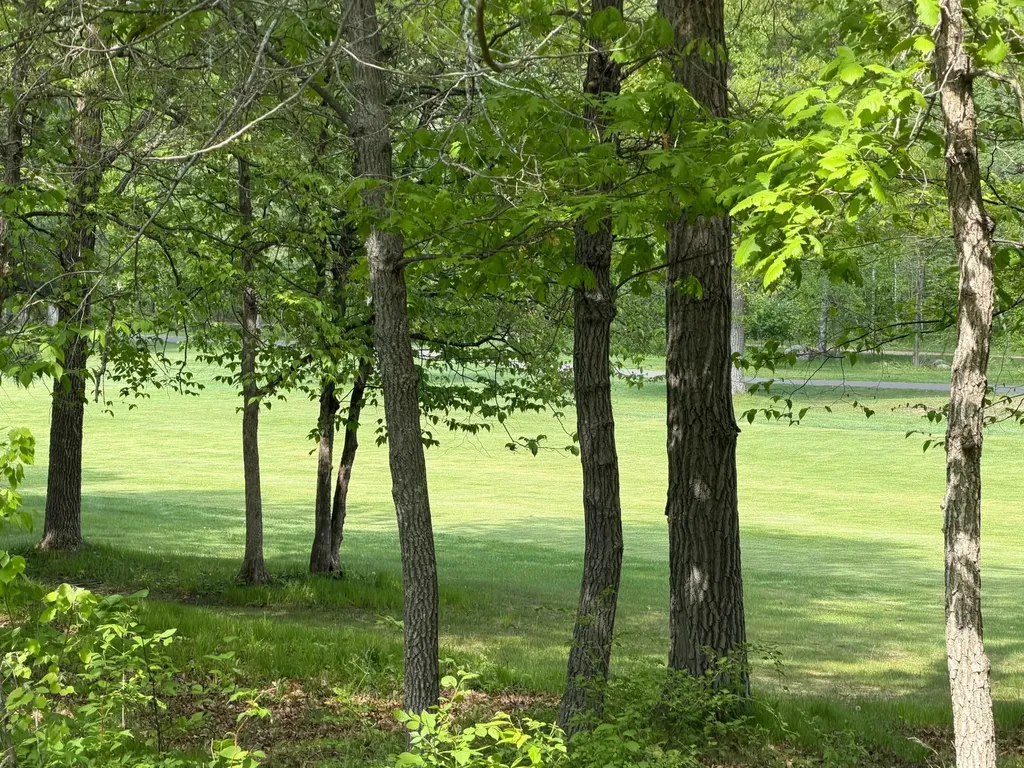 Tb County Road 16 Pequot Lakes MN 56472