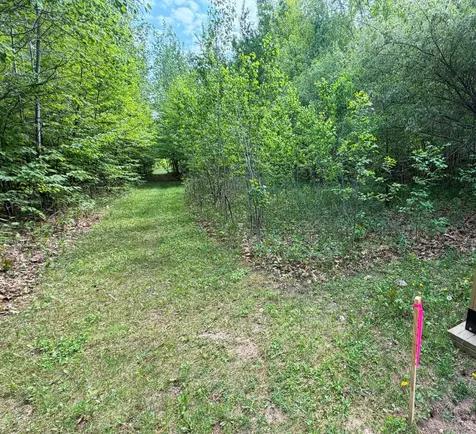 Tb County Road 16 Pequot Lakes MN 56472