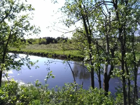 24798 Co Road 62 Browerville MN 56438