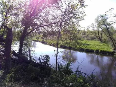 24798 Co Road 62 Browerville MN 56438