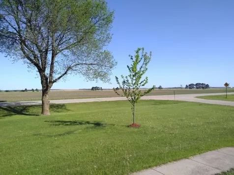 24798 Co Road 62 Browerville MN 56438