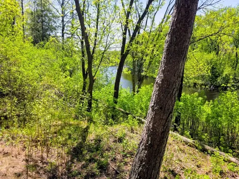 3781 County Road 10 Littlefork MN 56653