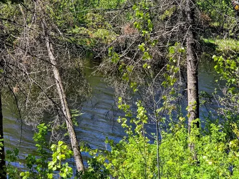 3781 County Road 10 Littlefork MN 56653