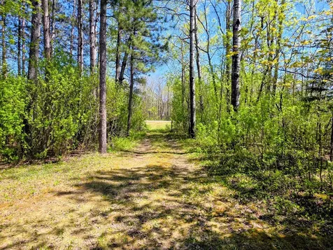 3781 County Road 10 Littlefork MN 56653