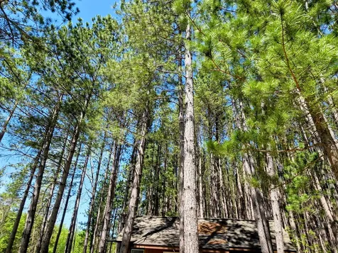 3781 County Road 10 Littlefork MN 56653