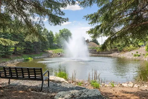10565 Water Lily Lane Woodbury MN 55129