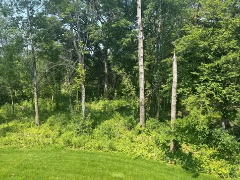 10393 Pheasant Ridge Road Victoria MN 55318