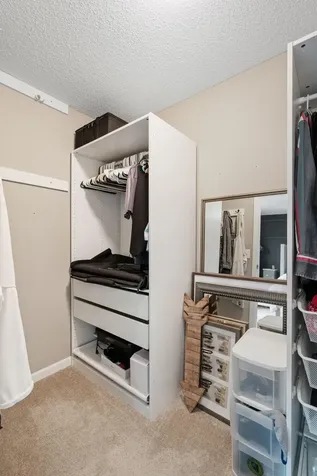 14004 Adrian Court Rosemount MN 55068