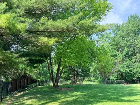 1800 13th Avenue NE Rochester MN 55906