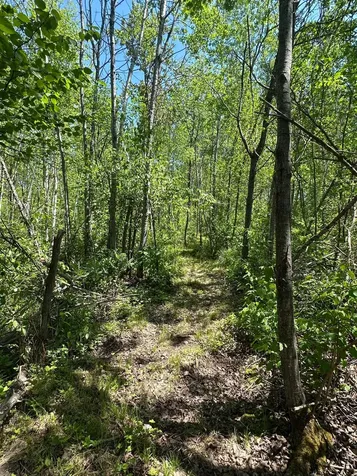 N7642 Crooked Road Ladysmith WI 54848