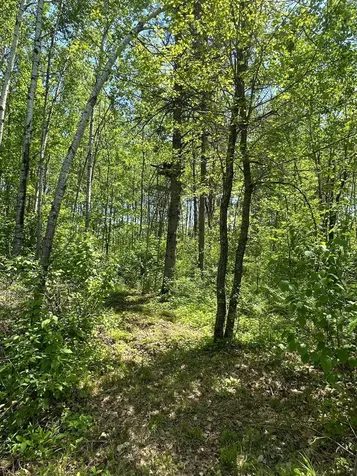 N7642 Crooked Road Ladysmith WI 54848