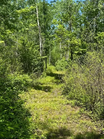 N7642 Crooked Road Ladysmith WI 54848