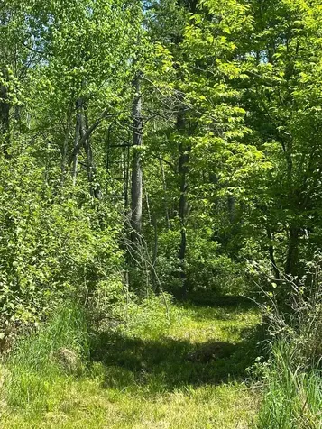N7642 Crooked Road Ladysmith WI 54848