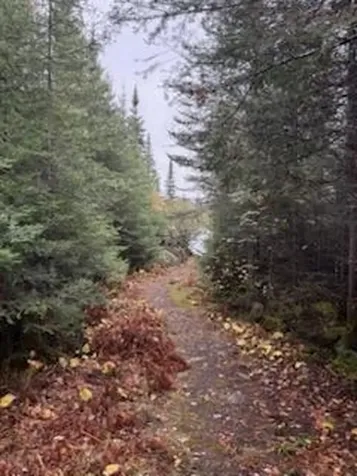 8016 Gunflint Trail Grand Marais MN 55604