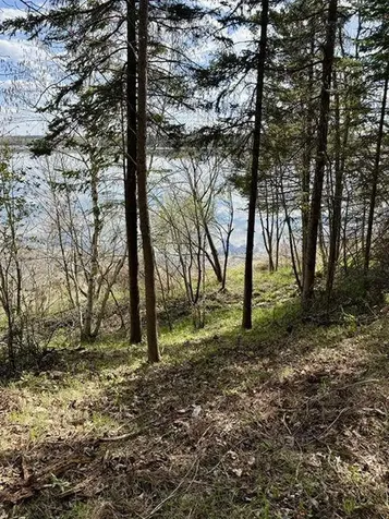37222 N Courage Dr (Lot 5) Lake George MN 56458