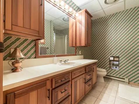 38132 N Little Mcdonald Drive Frazee MN 56544