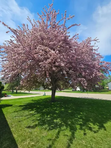 116 Nora Street E Thief River Falls MN 56701