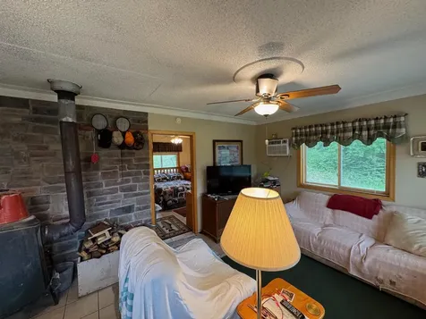 56161 Whitefish Trail Squaw Lake MN 56659