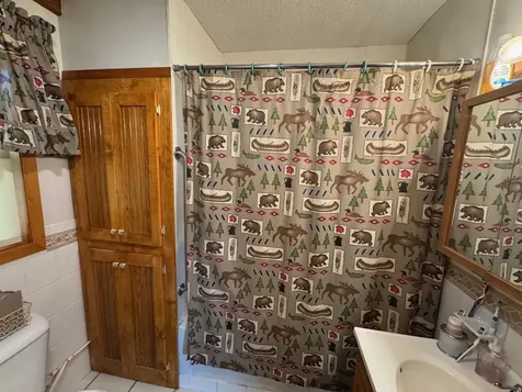 56161 Whitefish Trail Squaw Lake MN 56659