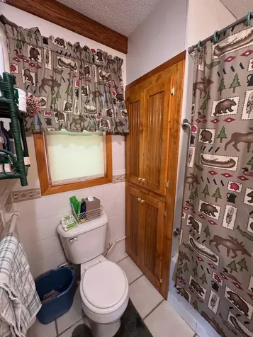 56161 Whitefish Trail Squaw Lake MN 56659