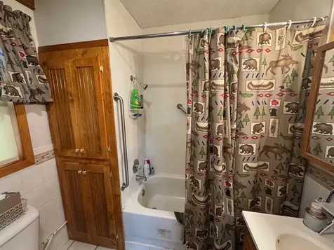 56161 Whitefish Trail Squaw Lake MN 56659