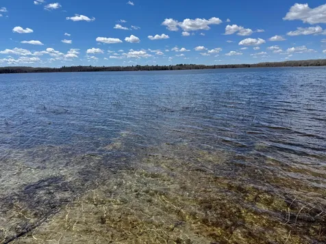 56161 Whitefish Trail Squaw Lake MN 56659