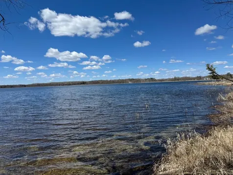 56161 Whitefish Trail Squaw Lake MN 56659