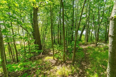 460TH Avenue Brandon MN 56315