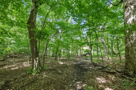 9142 Woodland Drive Saint Bonifacius MN 55375